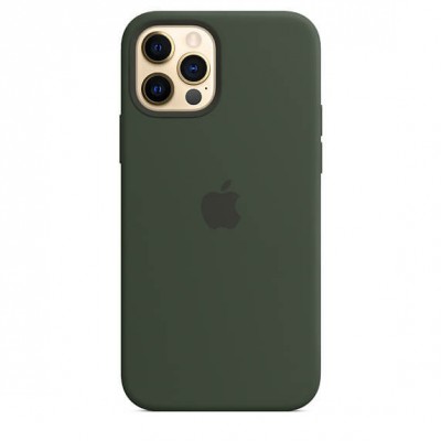Чохол Apple iPhone 12/12 Pro Silicone Case with MagSafe - Cyprus Green  Чохли для iPhone
   5 