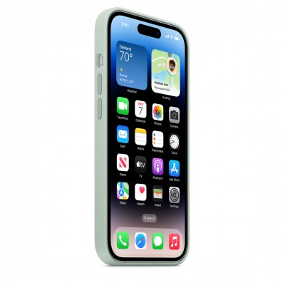 Чехол Apple iPhone 14 Pro Max Silicone Case with MagSafe - Succulent Copy  Чехлы для iPhone   2 