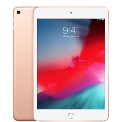 Apple iPad mini 2019 Wi-Fi + Cellular 256GB Gold (MUXE2)