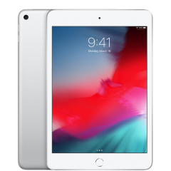 Apple iPad mini 2019 Wi-Fi + Cellular 256GB Silver (MUXD2)