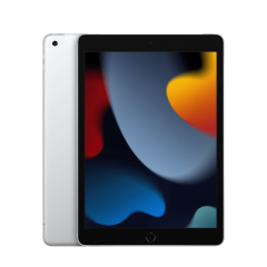 Apple iPad 2021 Wi-Fi + Cellular 256GB Silver