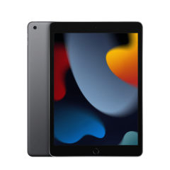 Apple iPad 10.2 Wi-Fi 256GB Space Gray MK2N3