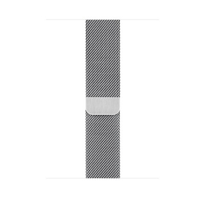 Apple Watch Series 5 GPS+Cellular 40mm Stainless Steel Case with Silver Milanese Loop  Apple Watch
   1 
