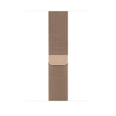 Apple Watch Series 5 GPS+Cellular 44mm Gold Stainless Steel Case with Gold Milanese Loop  Apple Watch
   1 