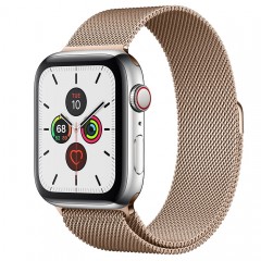 Apple Watch Series 5 GPS+Cellular 40mm Stainless Steel Case with Gold Milanese Loop