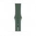 Apple Watch Series 5 44mm Space Gray Aluminum Case with Pine Green Sport Band  Apple Watch
   1 