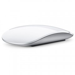 Apple Wireless Magic Mouse