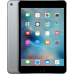 Apple iPad mini 4 Wi-Fi + Cellular 16GB Space Gray  iPad
   3 